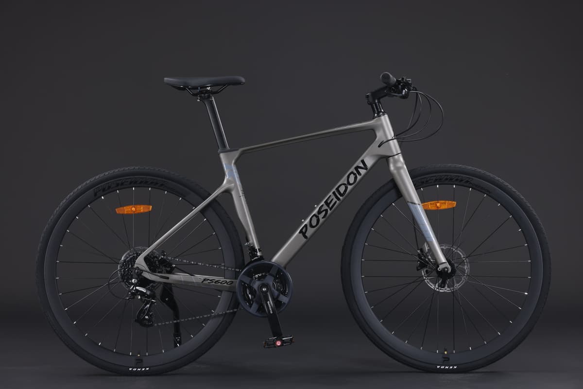 POSEIDON PS600
