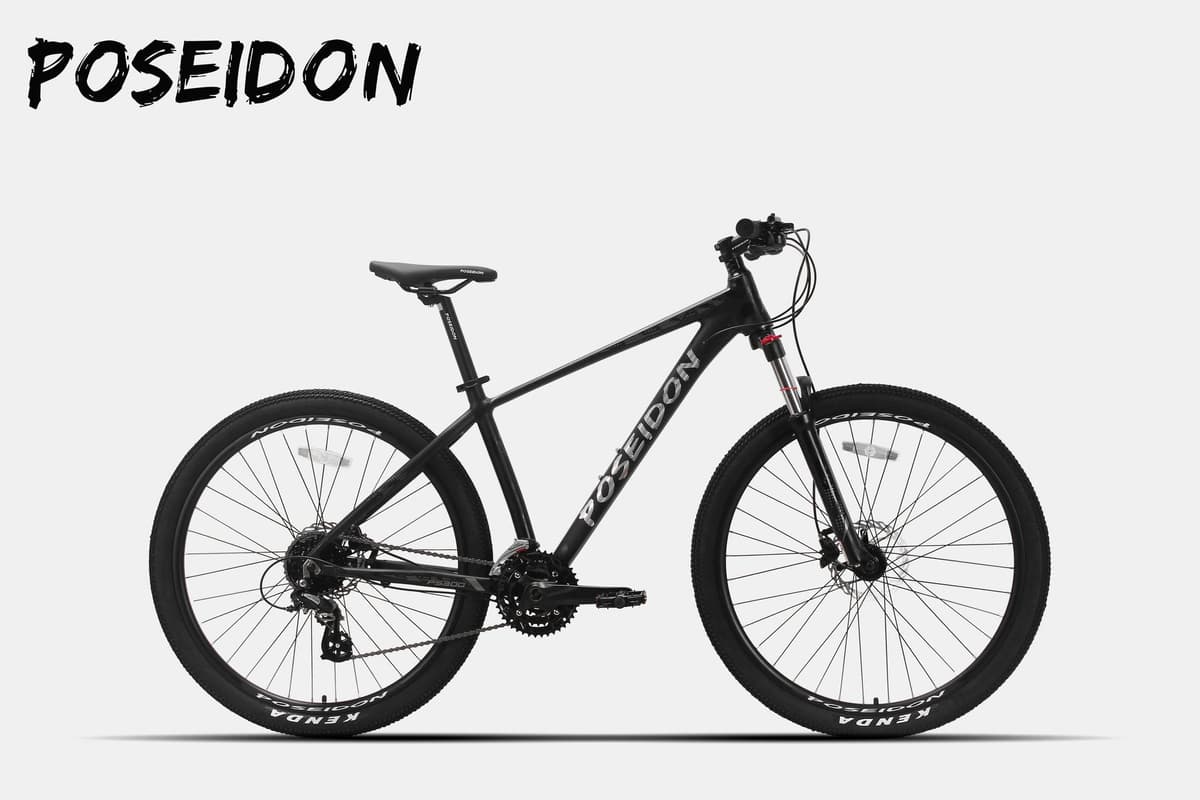 POSEIDON PS300