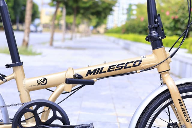 MILESCO G100