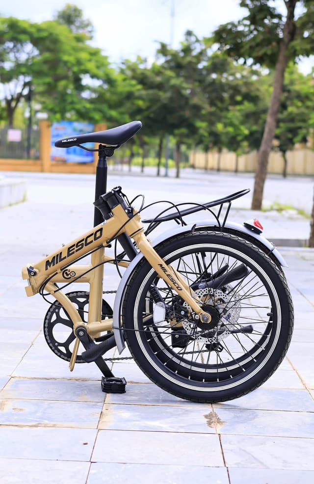 MILESCO G100