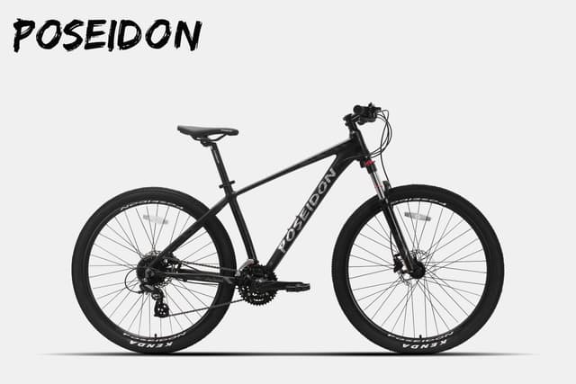 POSEIDON PS300