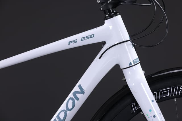 POSEIDON PS250