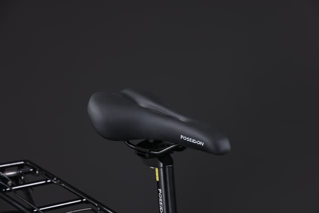 POSEIDON PS250