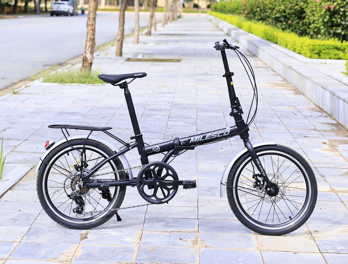 MILESCO G100